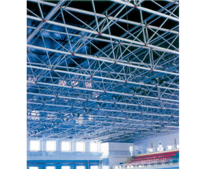 ��ֽ������������